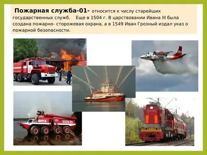 Виды служб пожарной охраны