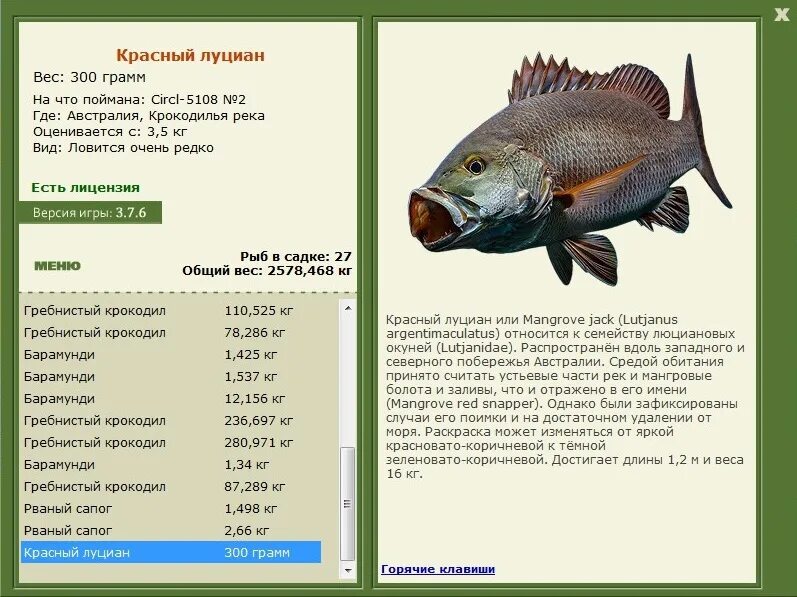 Луциан 3.3. Русская рыбалка Австралия красный луциан. Русская рыбалка папуасский чёрный окунь. Самая большая рыба луциан. Золотой Мекре рыба.