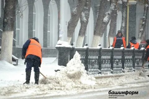 Обильный первый день