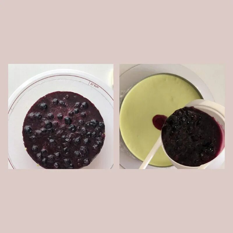 томат блюз f1. табак зомо. сочная ягода. томат черничный блюз в горшке. томат маргарита блюз f1.