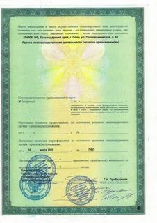 Лицензии сочи