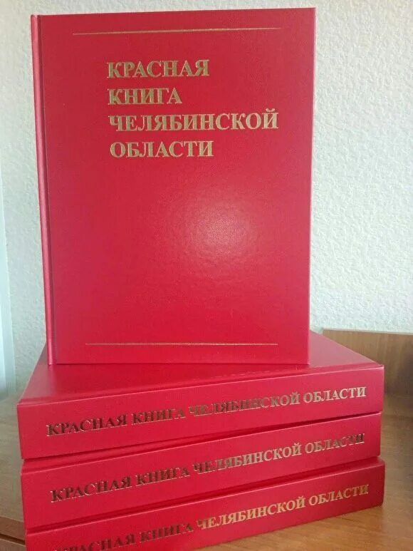 Ведение красных книг. Красная книга Челябинской области животные обложка. Красная книга Челябинской области книга. Красная книга Южного Урала обложка. Красная книга Челябинской области обложка.