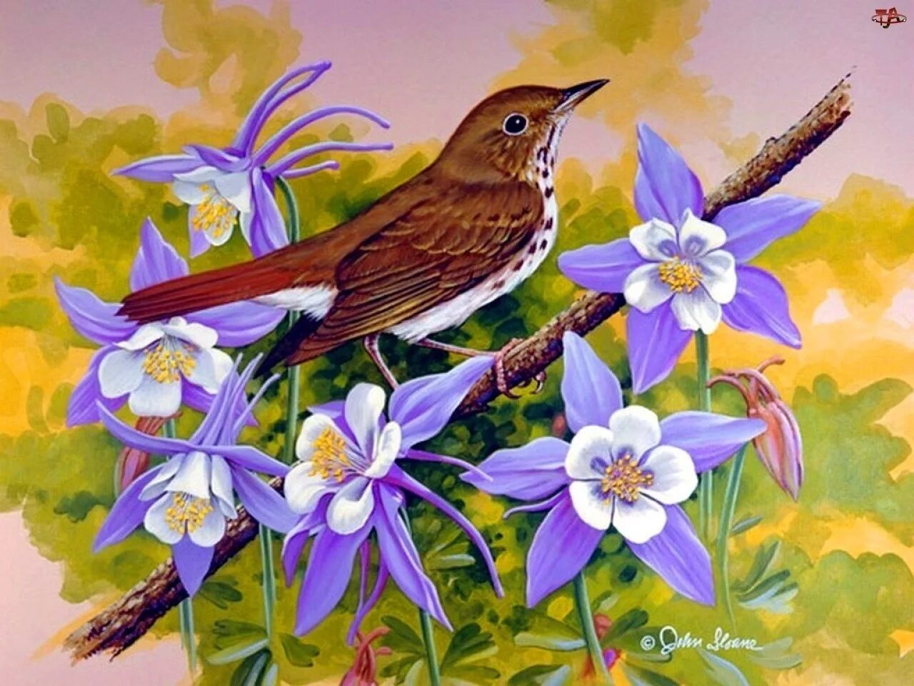 Род произведения песня соловья. Джон Слоан цветы. Джон френч Слоан художник птички. Птицы весной. Птицы в цветах в живописи.