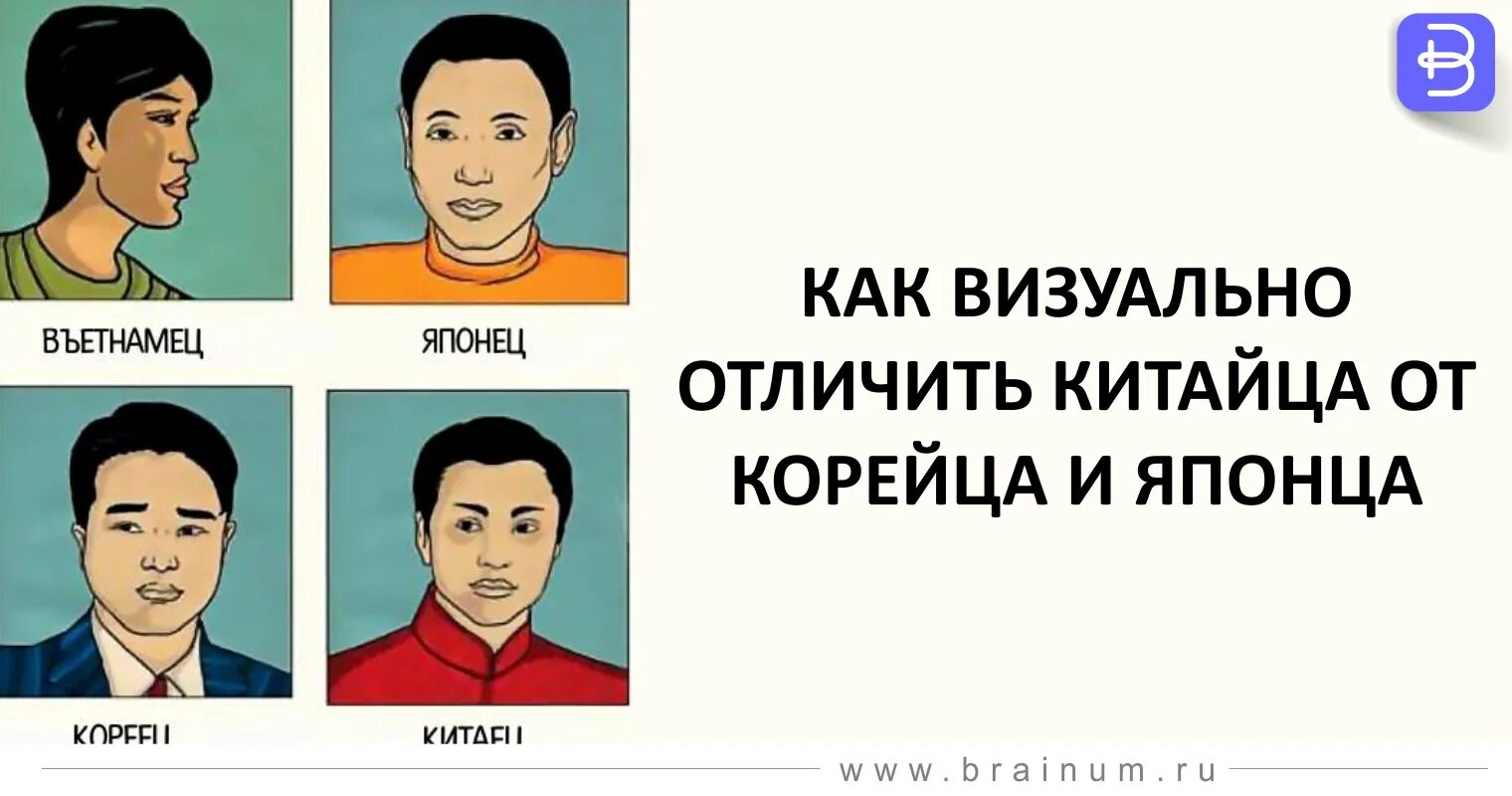 Тест на азиата. Японцы и корейцы. Тест на азиата. Азиаты тестируют. Внешние различия китайцев и японцев.
