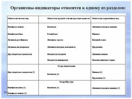 Животные индикаторы