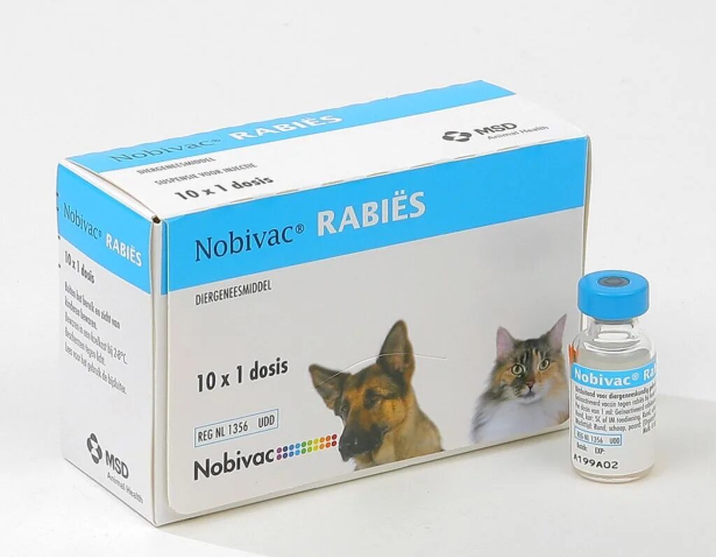 Нобивак Rabies для собак. Нобивак Rabies (10 доз/уп). Вакцина против бешенства для собак Нобивак. Нобивак 2022. Купить вакцину для кошек в москве