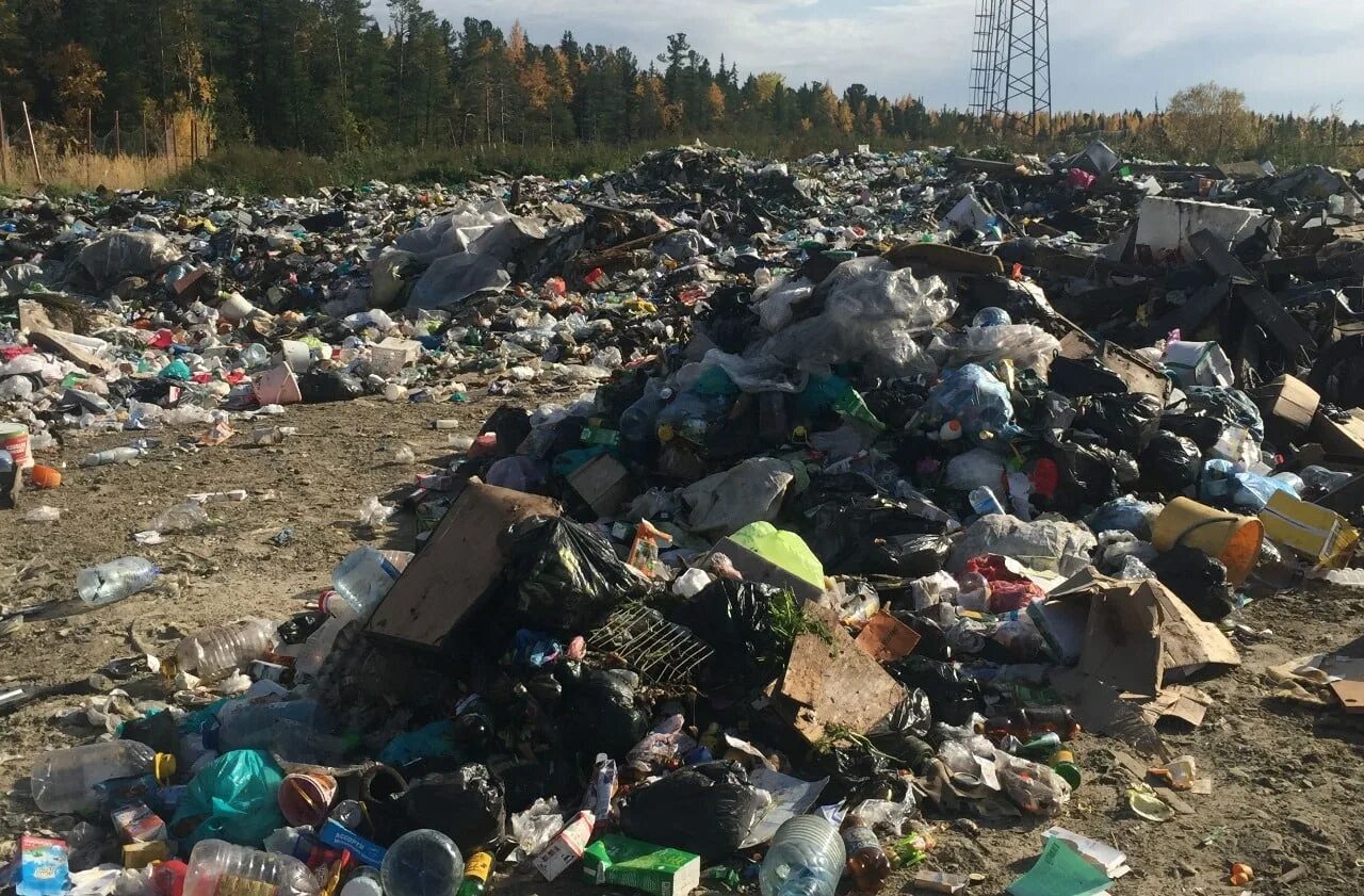 Битва на мусорной свалке дата выхода