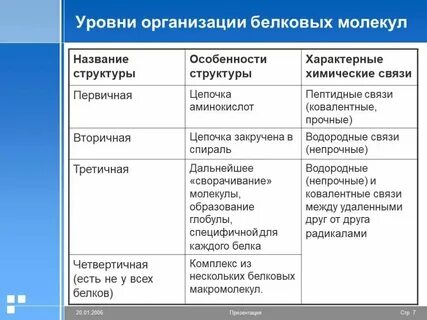 Первичный уровень предприятия
