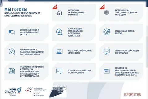 Оказать следующие услуги