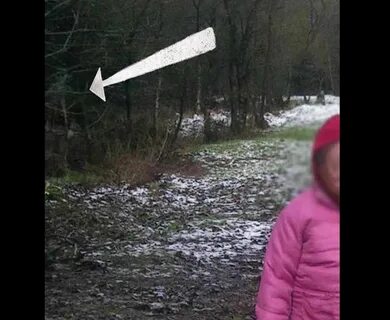 Реальные истории очевидцев