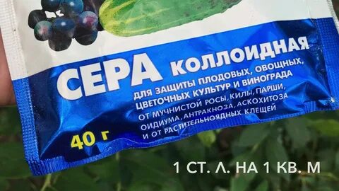 Сера под голубику