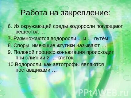 Минеральные вещества водоросли получают в процессе
