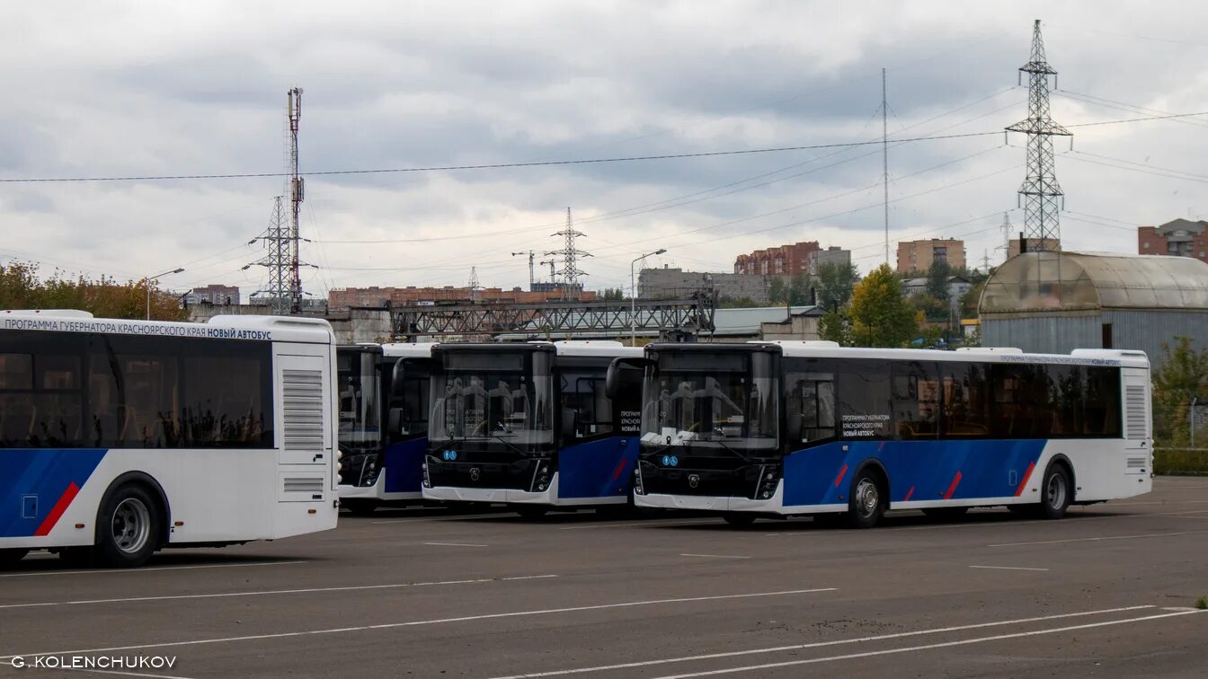 Время автобусов красноярский край. Новые автобусы в Красноярске. Современные автобусы. Новый общественный транспорт. Новые российские автобусы.