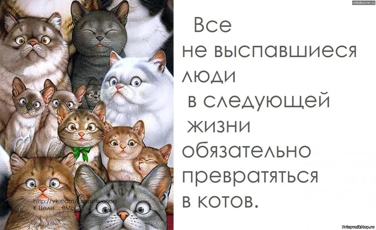 Жизнь обязывает