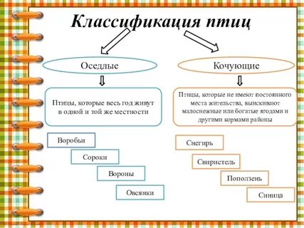 Птицы систематика