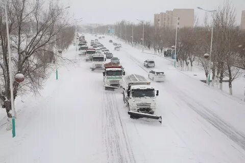 Бассейнде жүзіп жүрген жалаңаш аққұбалар
