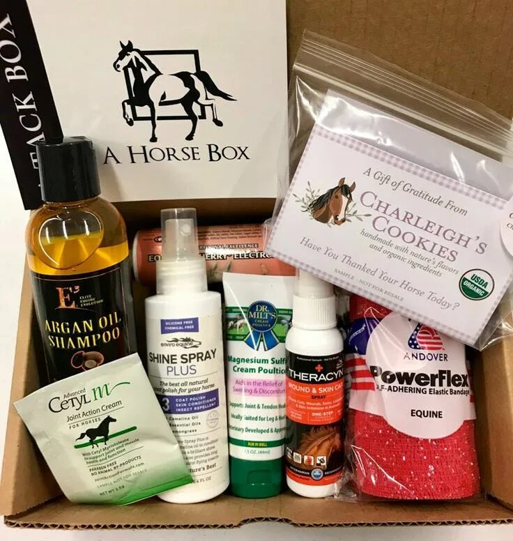 Хорс бокс подарок. Horses box. Horses box. Лошадь в подарок. Хорс бокс для лошадей.
