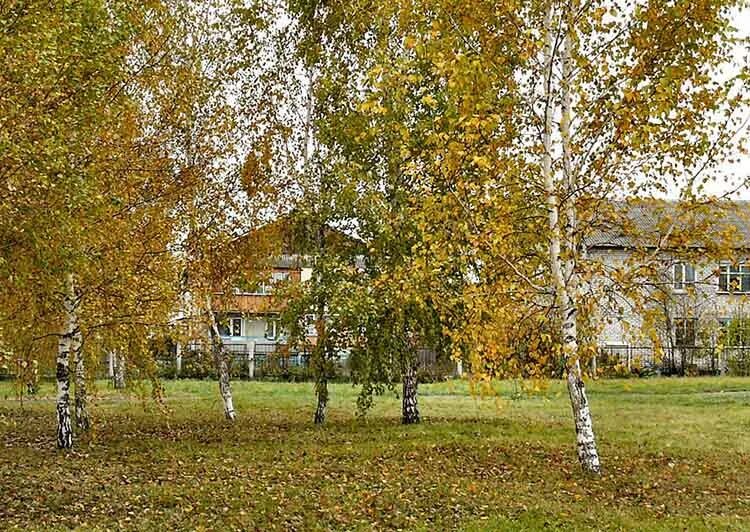 Боровское Алтайский край. Село Боровское Алтайский край Алейский район. Завьялово Алтайский край фото осенние. Завьялово Советский район. Погода боровское алтайского края