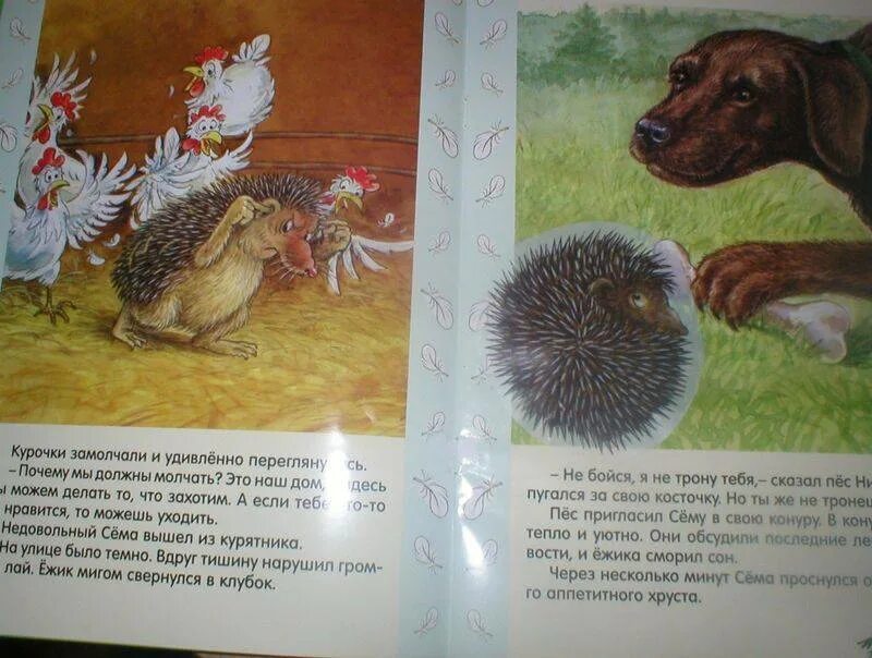 Читать про ежика. Читать про ежика