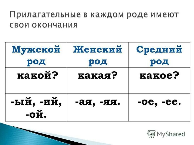 Мужской женский род какое окончание