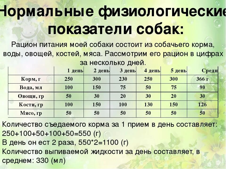 Сколько кормить взрослую собаку. Суточный рацион кормления собак. Таблица рациона питания для собак. Нормы для составления рациона для собак. Суточный рацион питания для овчарки кобеля.