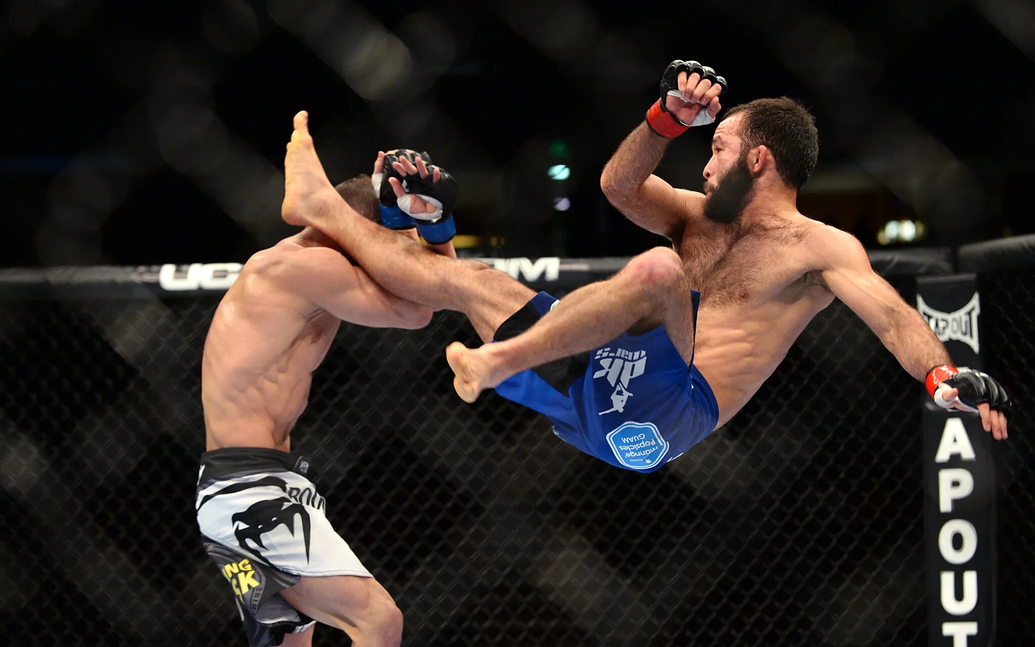 Смешанные единоборства мма. Мма. Рори макдональд би джей пенн. Битва мма. Смешанные единоборства конор макгрегор.