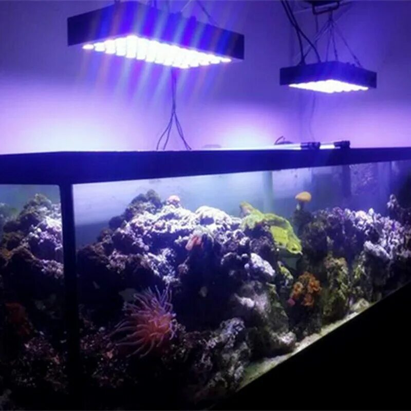 Нужен ли рыбкам свет в аквариуме ночью. Освещение для аквариума. Подсветка для аквариума. Металлогалогенный светильник для аквариума. Светодиодный светильник для аквариума.