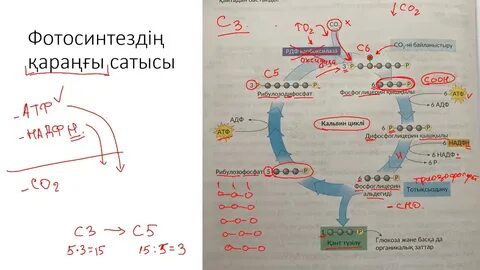 Өте өте өте ылғалды секс