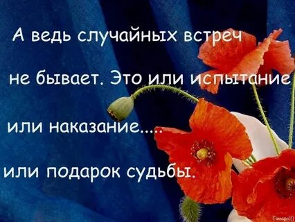 Случайных встреч не бывает это