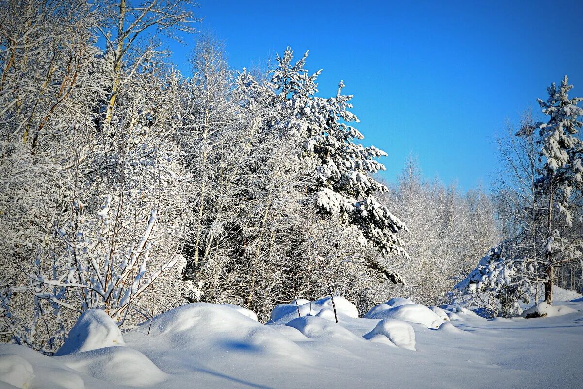 Декабрь природа. Трасса зима. Февраль картинки. Зима фото. Зимняя река.