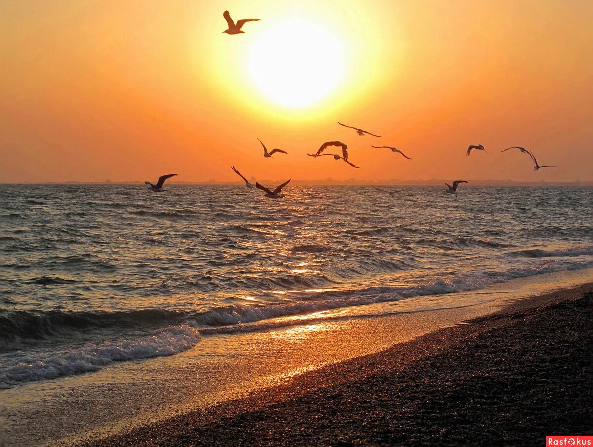 евпатория море. море в заозерном крым. черное море евпатория. город евпатория в крыму. евпатория.