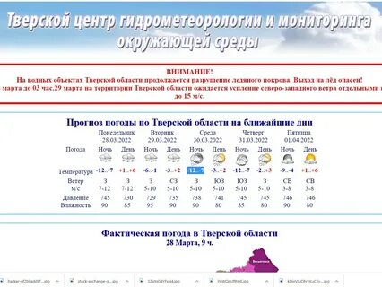 Тверские информационные сайты