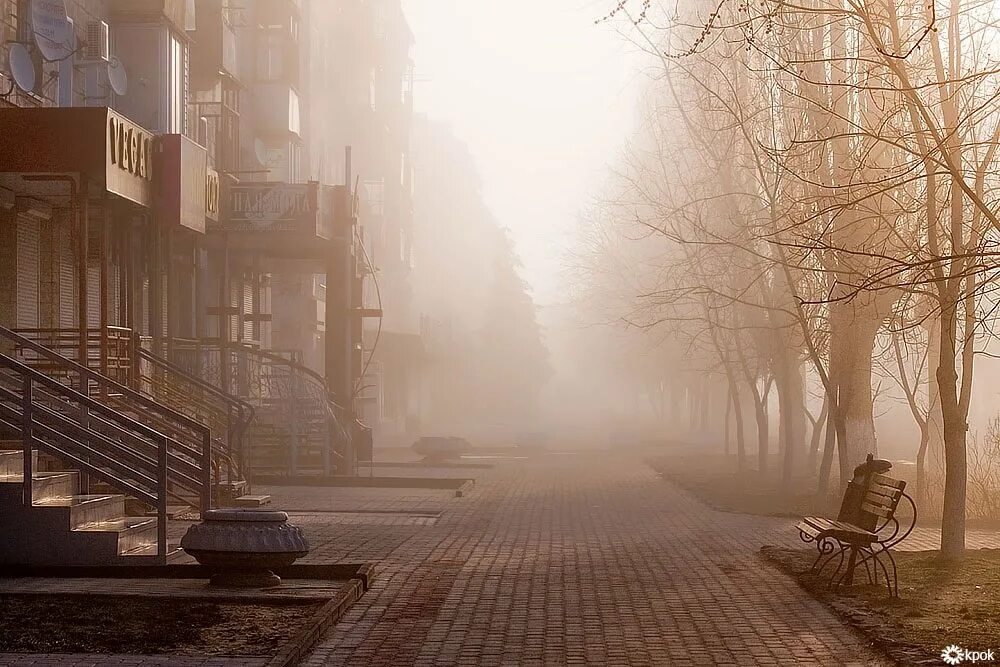 Прогулка ранним утром. Город в тумане. Осенний город. Улица в тумане. Бежевый пейзаж.