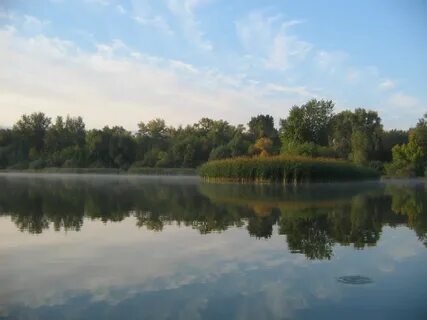 Ильмень волгоградская