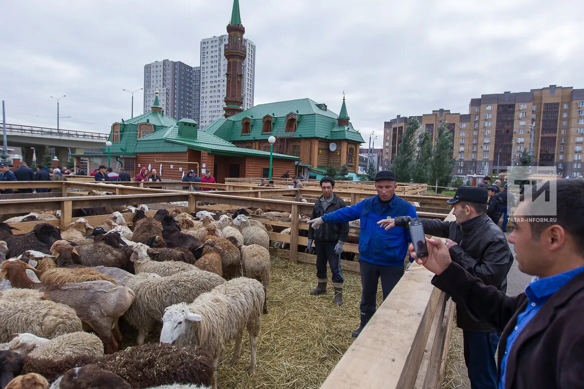 Сегодня курбан байрам. Курбан байрам татар информ. Курбан байрам Казань. Курбан-байрам 2023 Казань. Курбан 2023 Казань.