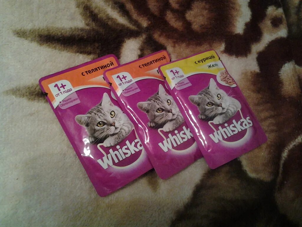 Влажные пакетики для кошек. Whiskas влажный корм. Корм вискас в пакетиках. Корм для котят вискас в пакетиках. Whiskas пакетик.
