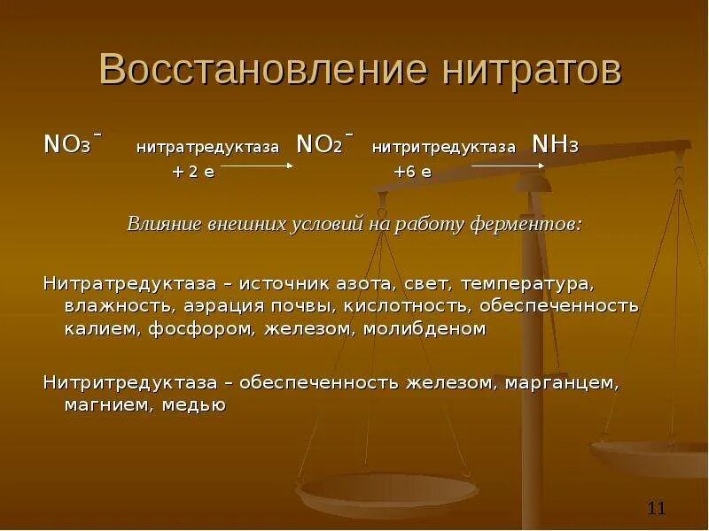 Нитраты и нитриты в смеси. Восстановление нитратов. Восстановление нитратов до нитритов. Восстаговлениенитратов в нитриты. Восстановление нитратов до нитритов реакция.