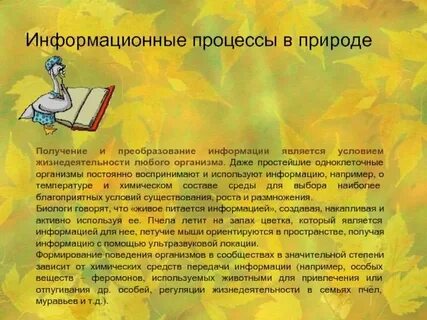 Какие есть процессы в природе
