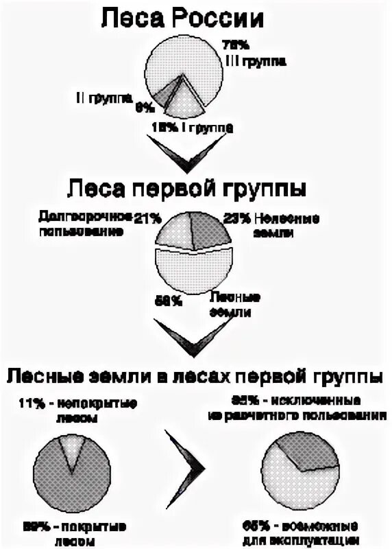 Три группы лесов. Леса первой группы. Группы лесов. Лес 1 группы это. Лес 1 категории что это.