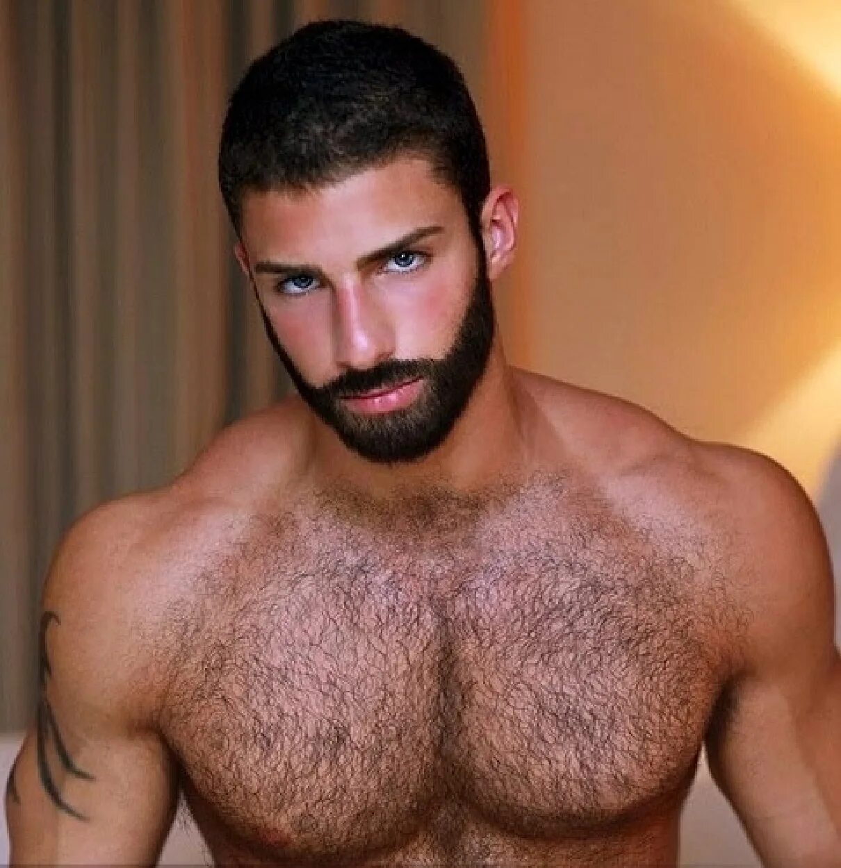 Волосатые азеры. Очень волосатый мужчина. Азербайджанцы с бородой. Волосатый с бородой. Красивые грузины с бородой.