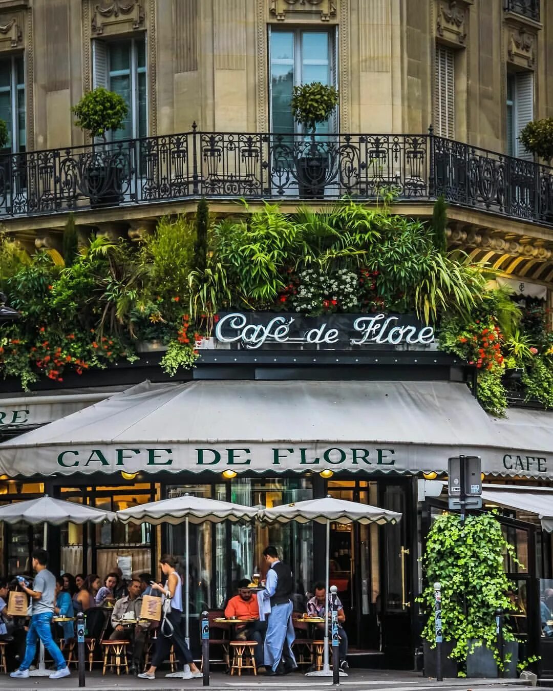 Кафе де Флор Париж. Кафе де Флор кафе в Париже. Кафе de fleur Париж. Кафе де ля Флер во Франции. Кафе де париж