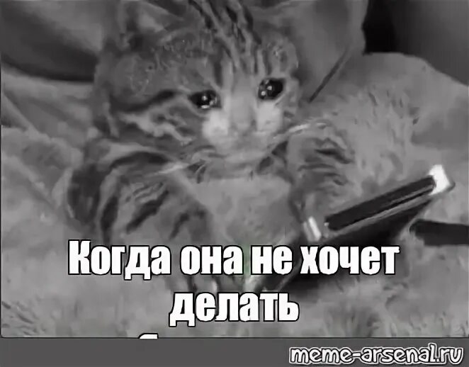 Ничего не ответила бывшему