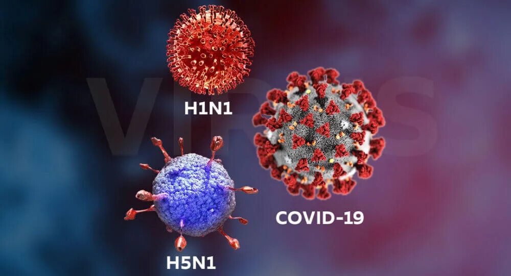 Вирус гриппа коронавирус