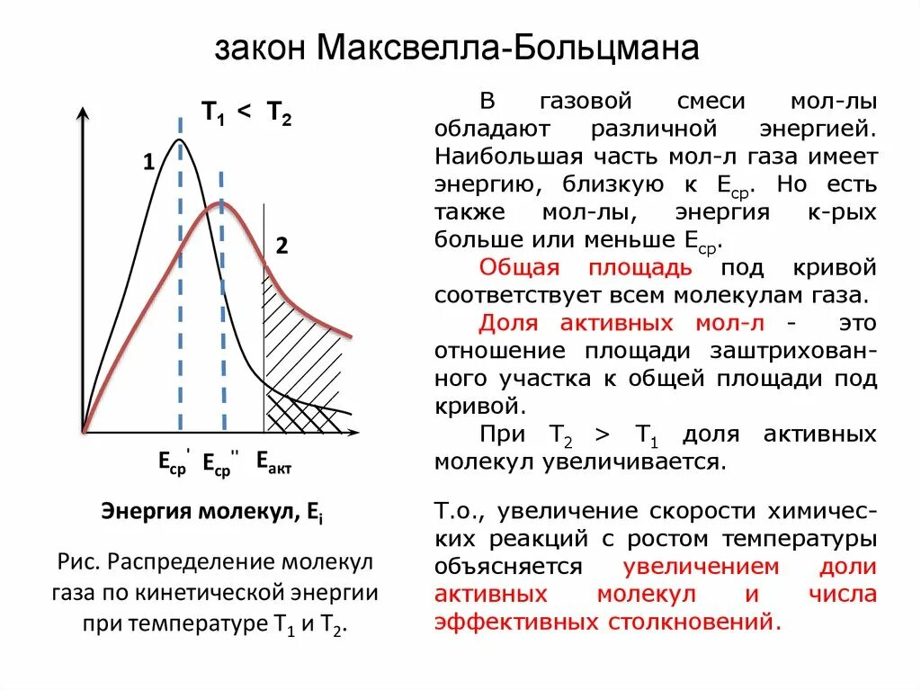 Температура связана с кинетической энергией. Функция распределения Больцмана график. Распределение Максвелла Больцмана формула. График распределения скоростей молекул. Распределение Максвелла для идеального газа.