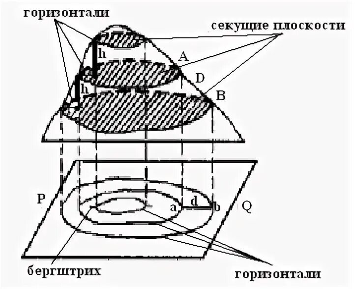 Смежные горизонтали. Расстояние между смежными горизонталями. Смежные горизонтали на карте. Расстояние между смежными горизонталями в плане называется.