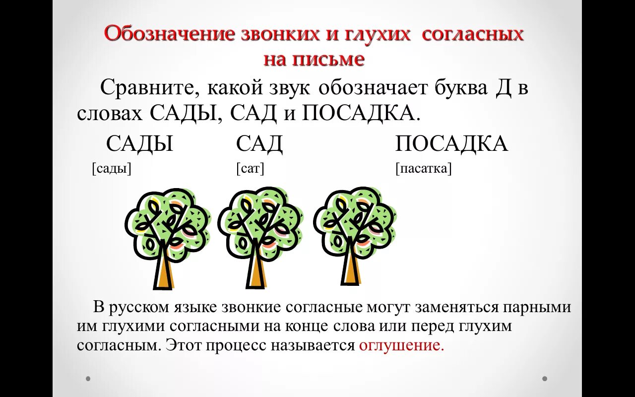 Звонкий определение. Как обозначаются звонкие согласные. Звонкие и глухие согласные звуки. Глухие согласные. Обозначение звонких и глухих звуков.