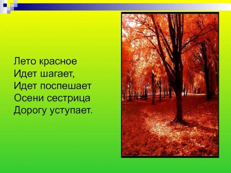 Осень наступила насауленко. Стихи про осень для дошкольников. Стихи об осенних поделках детям. Слова по земле шагает осень. Текст песни что такое осень.