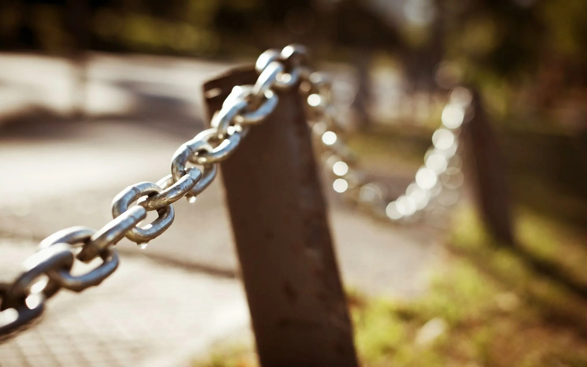 Development chain
