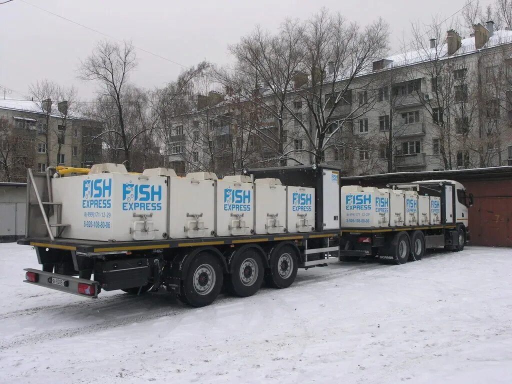 Доставка заморозки. Автомобиль для перевозки рыбы. Емкость для перевозки живой рыбы. Перевозка живой рыбы. Транспортировка живой рыбы.