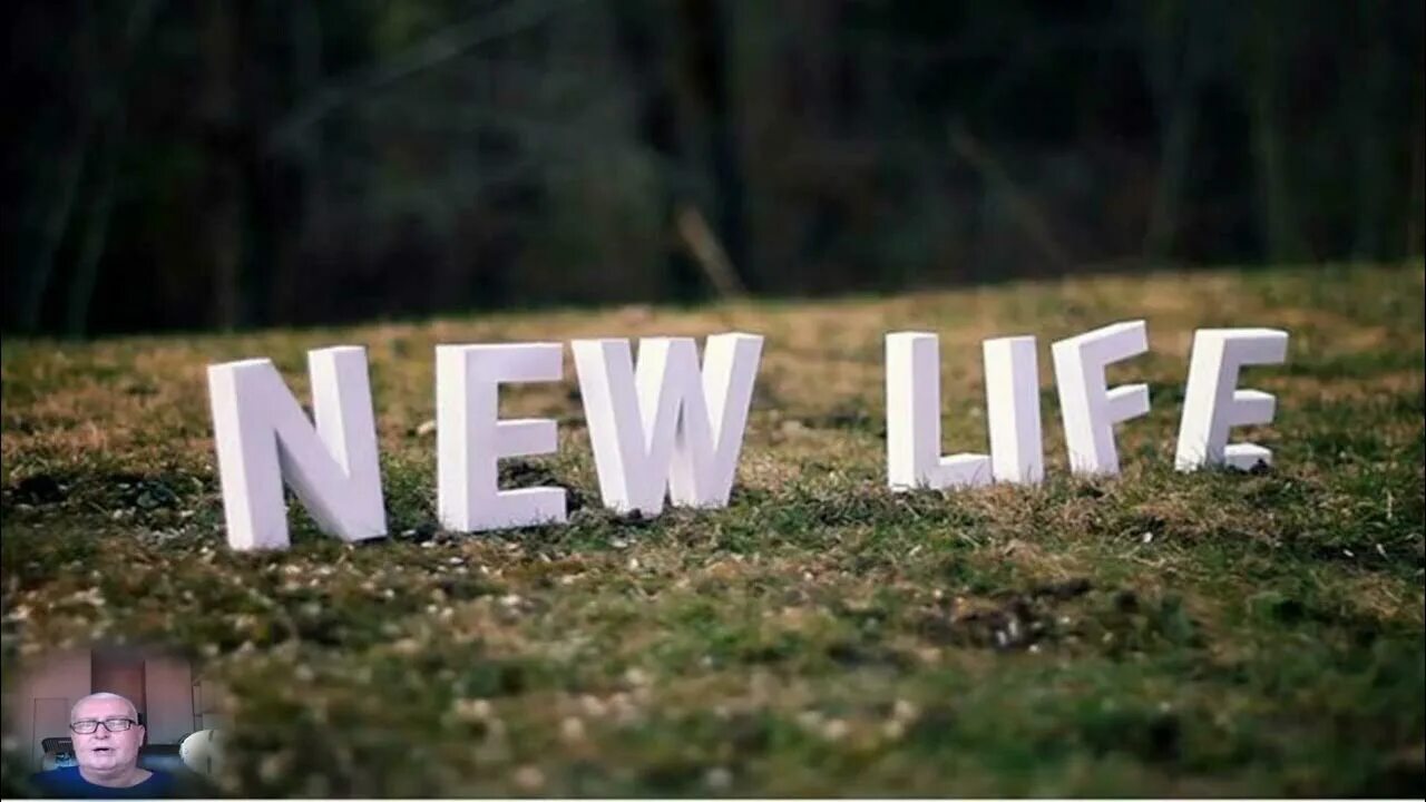 The New Life. New Life картинки. New Life надпись. Логотип New Life. New life have you